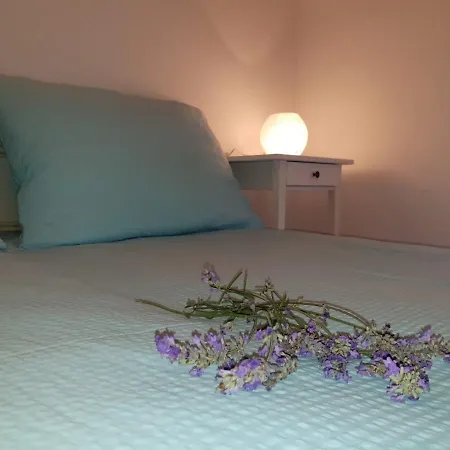 Jaca Apartament *